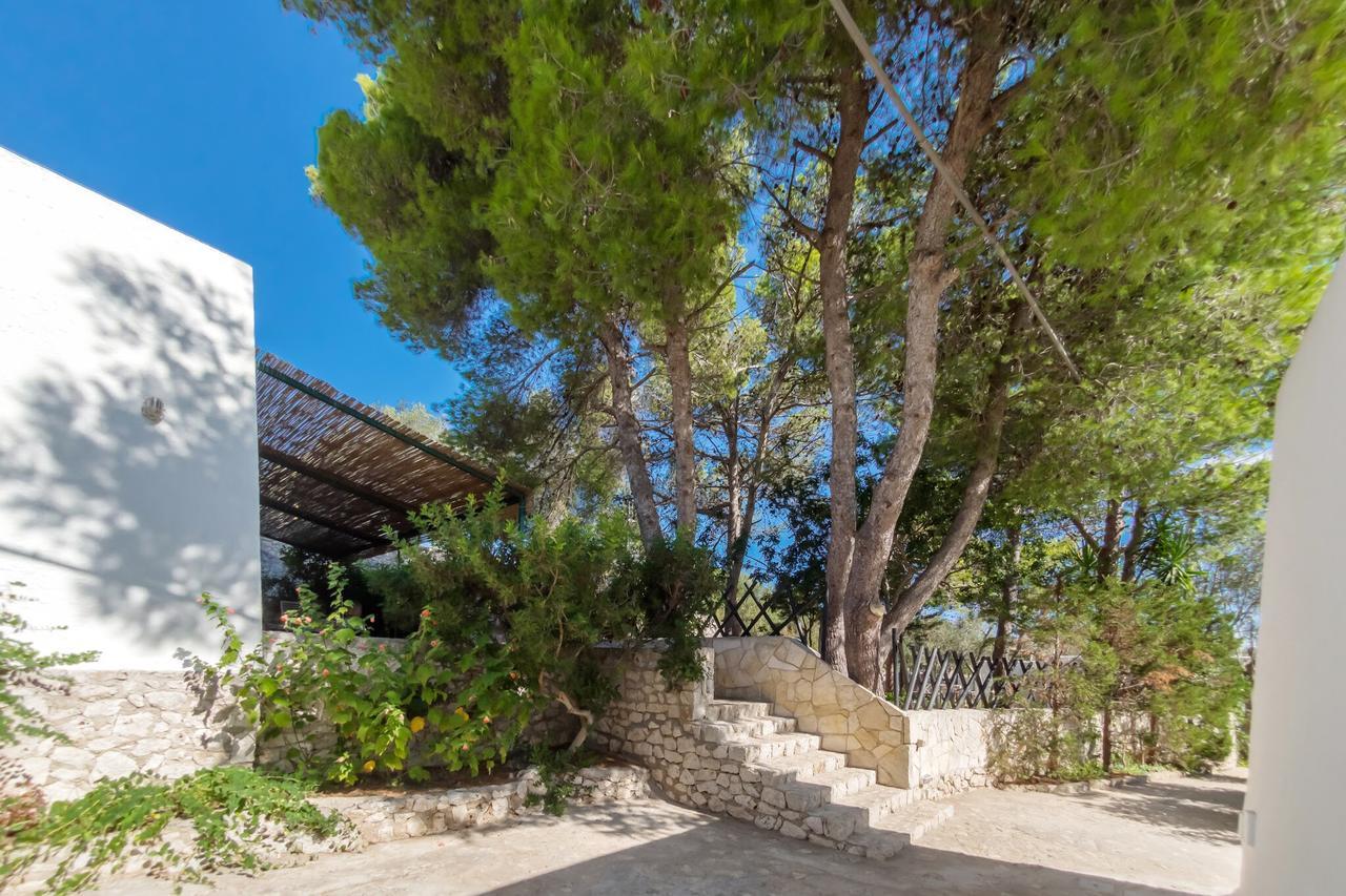 דירות Castro  Residenza La Cicala חדר תמונה